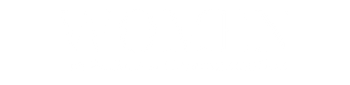 Women in Politics & Communication